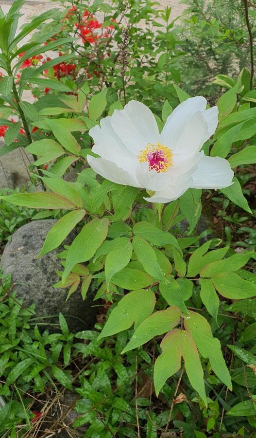 담양 생폴드방스 빌라 외부 사진