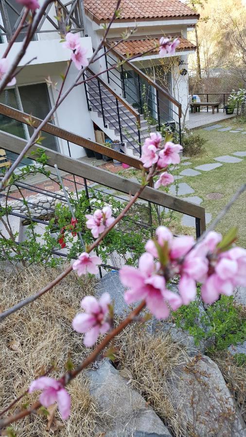 담양 생폴드방스 빌라 외부 사진